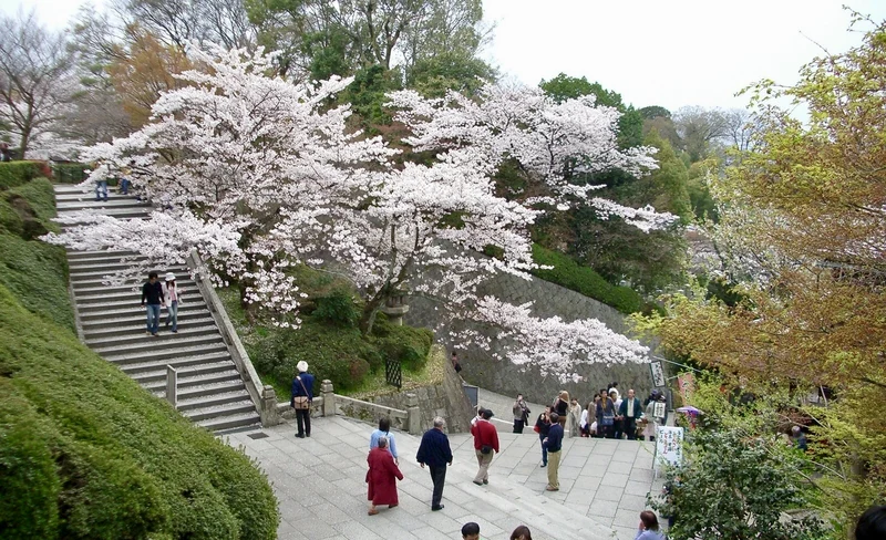 Kyoto Temple and Shrine Discovery Tour: Kiyomizudera, Yasaka & More