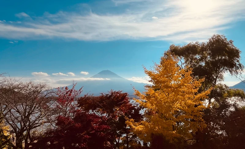 Mount Fuji Panoramic View & Shopping One Day Tour from Tokyo