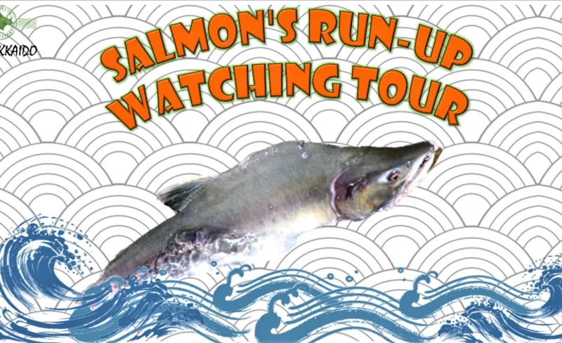 Salmon's Run-up Watching Tour in Shiretoko