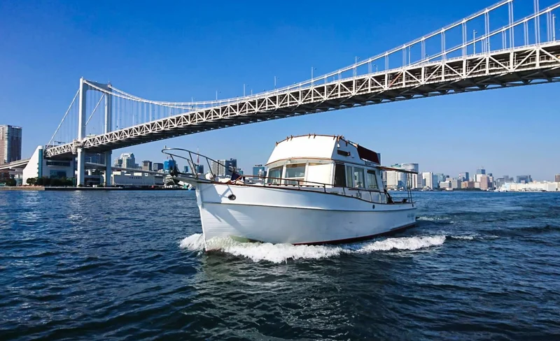 Tokyo City, Tokyo Bay & River 2 Hours Cruising Boat Private Tour