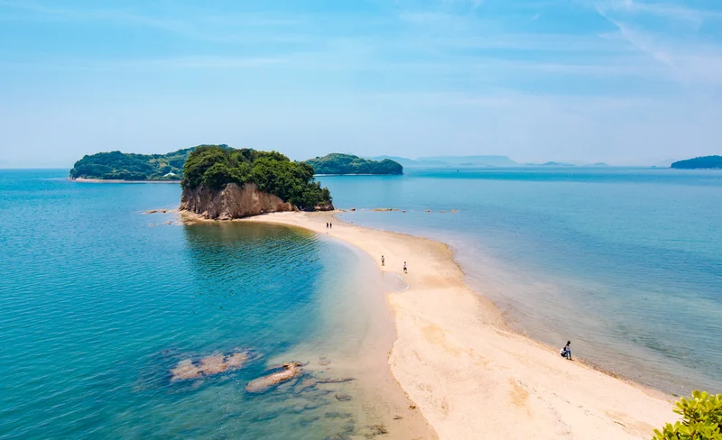Takamatsu - Shodo Island (Ikeda Port) Ferry Roundtrip Ticket