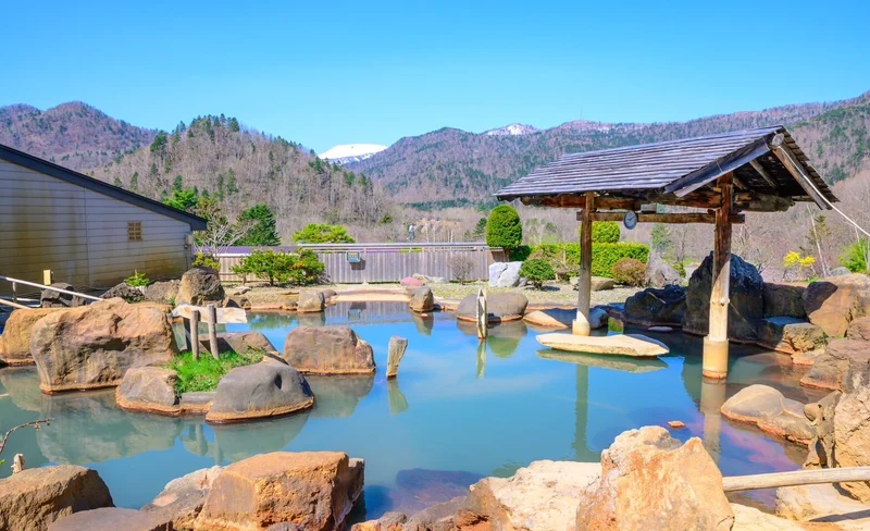 Enjoy Hoheikyo Hot Spring with Private Transport