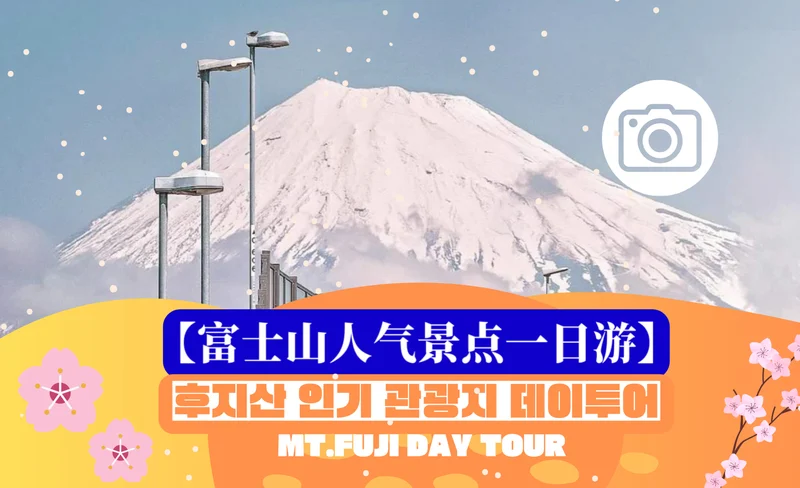 Mount fuji popular instagrammable day tour (Korean and Chinese)