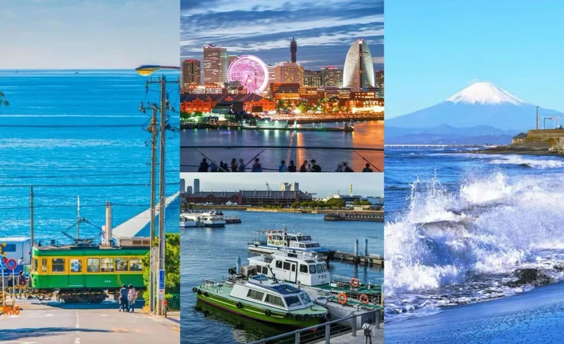 [Small Group Tour] Kamakura Yokohama | Enoshima & Kamakura High School & Tsuruoka Hachimangu Shrine & Yokohama Yamashita Park Day Tour (Free Enoden Experience)