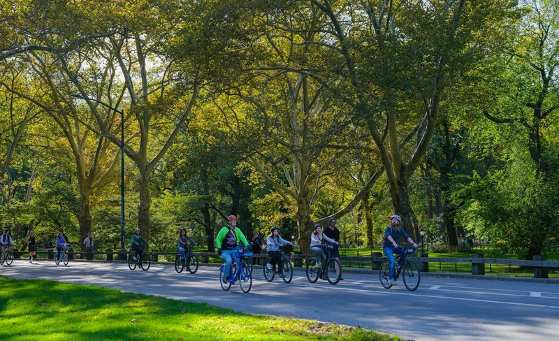 Best of Manhattan 3h Walking Tour & Cycle Central Park