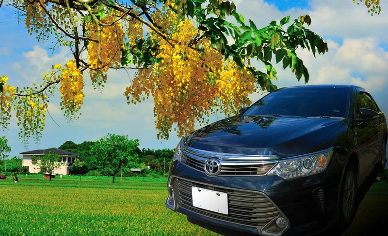 Private Transfers between Tainan Station and Tainan City