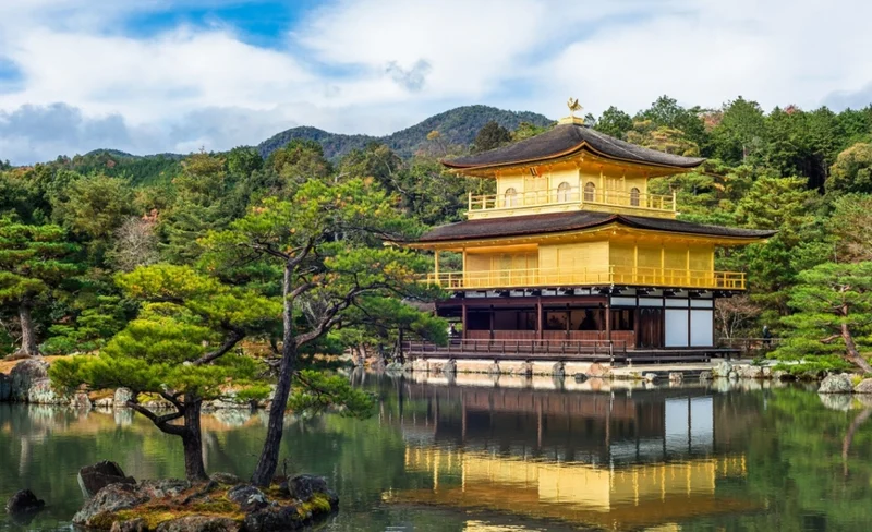 Kyoto Private Custom Highlight Tour with Licensed Guide (4/8h)