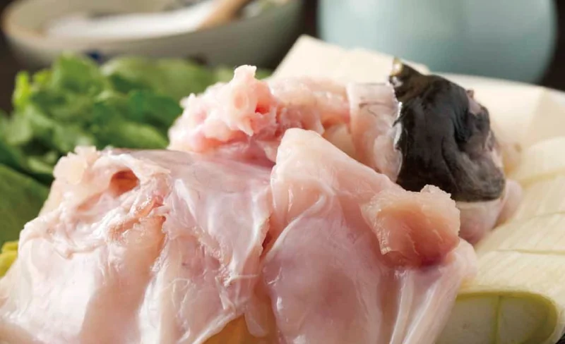 Ginza Fuguji (ふぐ福治) Pufferfish Speciality in Tokyo