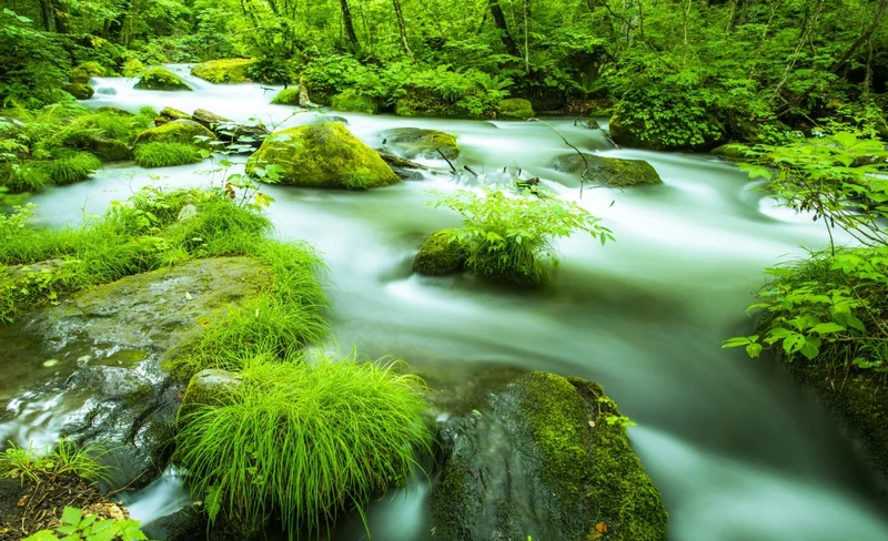 Oirase-keiryu gorge & Hakkoda Mountains One Day Tour from Aomori