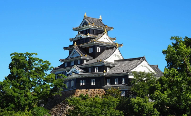 Okayama Castle Ticket