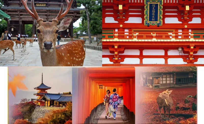Kiyomizu Temple, Fushimi Inari Shrine, and Nara Park Day Tour (Small Group Tour from Osaka and Kyoto)