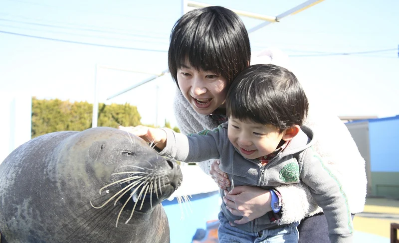 Minamichita Beach Land Admission in Aichi