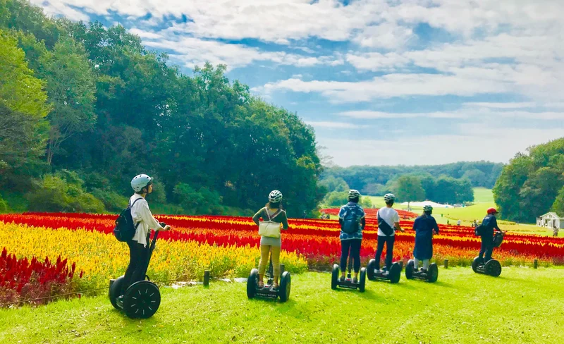 Saitama Forest Park Segway Tour in Musashi-Kyuryo National Government Park