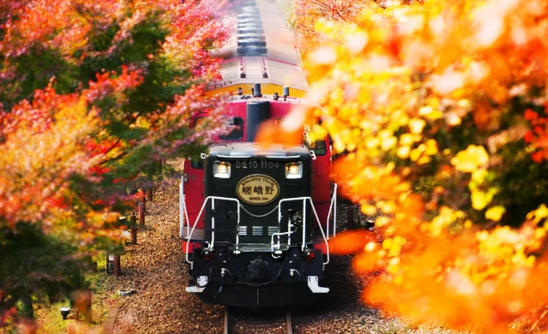 Sanzen-in Temple and Arashiyama One Day Tour from Osaka / Kyoto