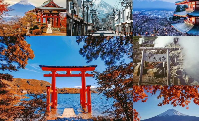 Mount Fuji Hakone Internet celebrity check-in/Lake Ashi cruise day tour (depart from Tokyo)