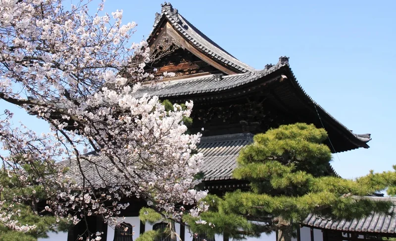 Nishiki Market Half Day Walking Tour with Tea Ceremony Experience