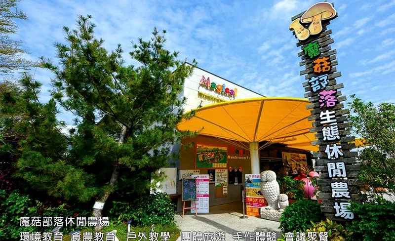 Magical Mushrooms Tribe Ticket and DIY Experience in Changhua