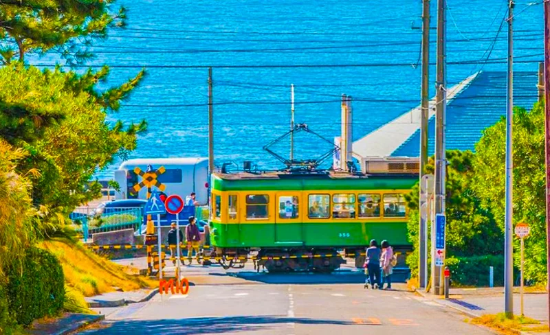 [One-day tour in Kamakura] Kamakura High School, Kamakura Buddha, and Enoshima (including Enoden experience) | Depart from Tokyo