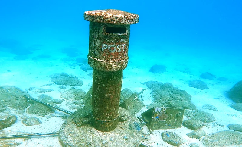 Penghu: Snorkeling and License-Free Free Diving Experience