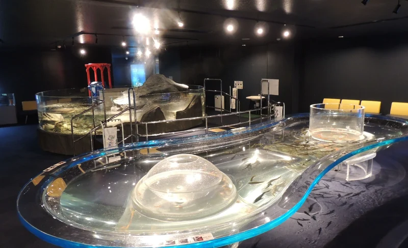 Salmon Hometown Chitose Aquarium Ticket