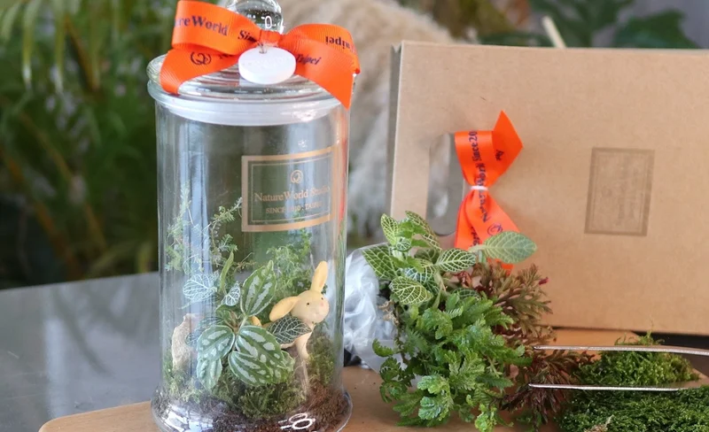 Pingtung: DIY Handmade Experience (Plant Eco Bottle / Green Plant Planet)