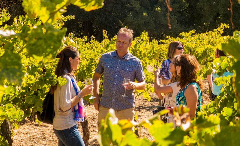 Sonoma Valley Half Day Wine Country Tour from San Francisco