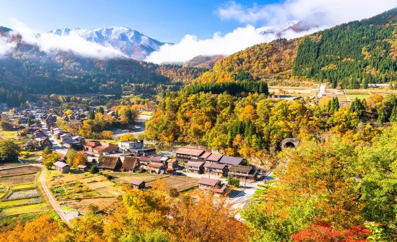 Nagoya, Japan｜Hida Takayama/Shirakawa Township Custom Chartered Car One-day Tour