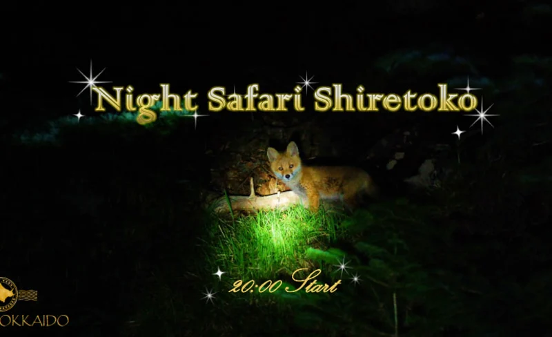 Night Safari Tour in Shiretoko