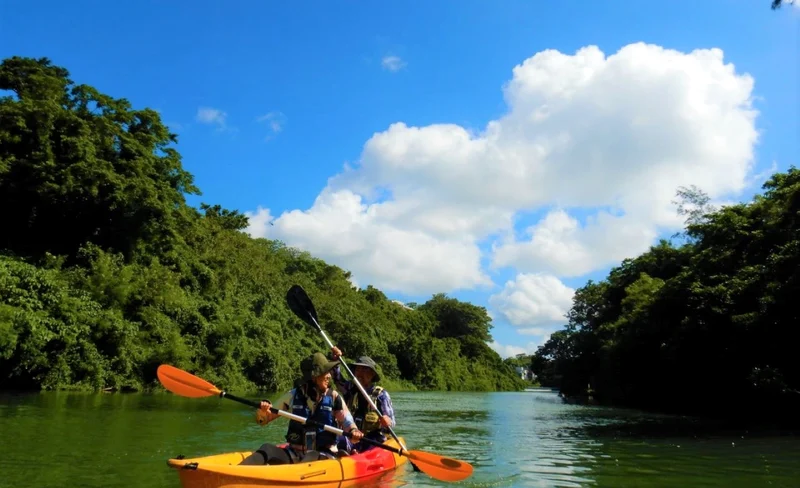 Mangrove Kayak Tour in Hijya River