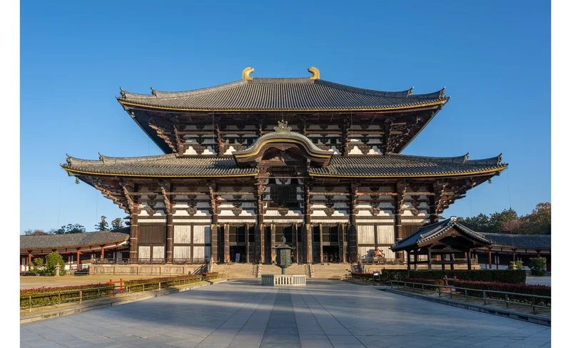 Nara Afternoon Tour (Round Trip from Kyoto)