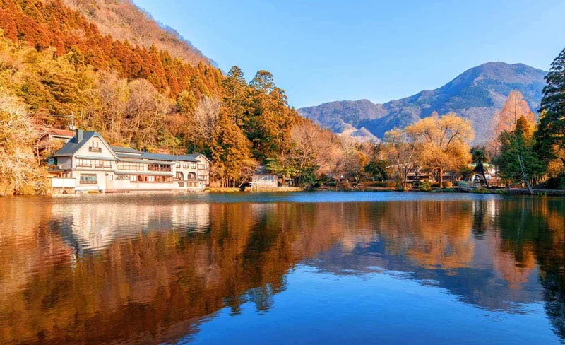 Kyushu | Oita Kyushu Natural Zoo/Beppu Haijigoku Hot Spring/Yufuin/Kinrinko Lake Customized Chartered One-day Tour