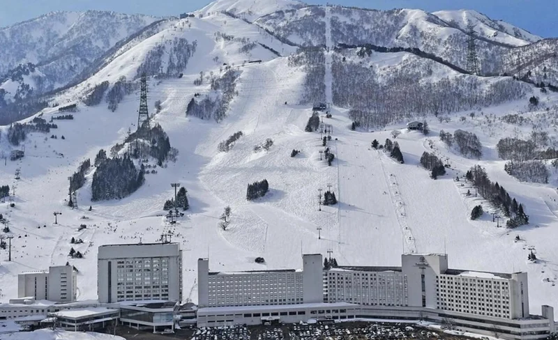 [Winter Skiing Limited] Niigata Naeba 2-Day Skiing Tour (Depart from Tokyo)