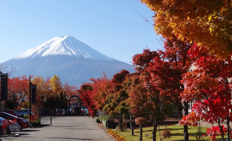 Mount Fuji Autmn tour - Lake Kawaguchi Maple Corridor (from Tokyo)