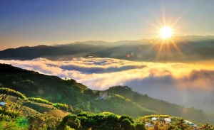 Shared City Transfer between Chiayi and Alishan