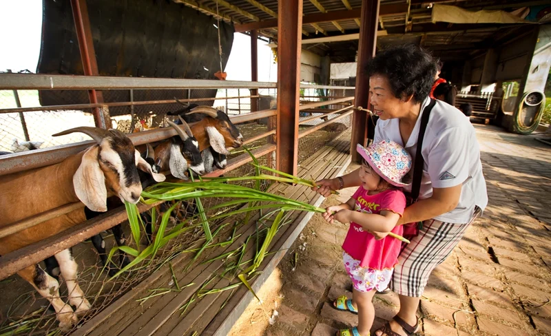 Keda Goat Farm ticket in Yilan