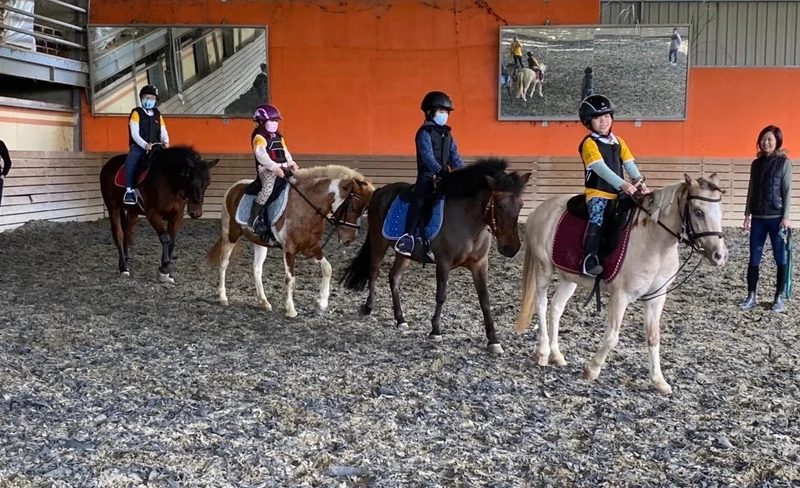 Hsinchu｜Da Ri Equestrian｜Equestrian experience