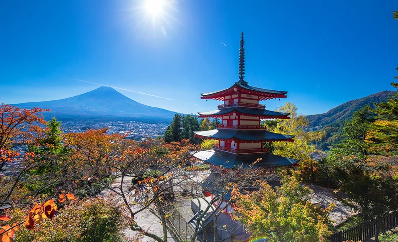 Arakurayama Sengen Park, Hikawa Clock Shop, & Oshino Hakkai Day Tour