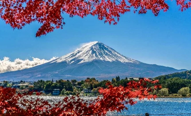 Mount Fuji popular check-in day tour｜Arakurayama Park + Hikawa Watch Shop + Kawaguchiko Oishi Park/Red Leaf Corridor maple viewing limited + Gotemba Outlets (shopping/hot springs)