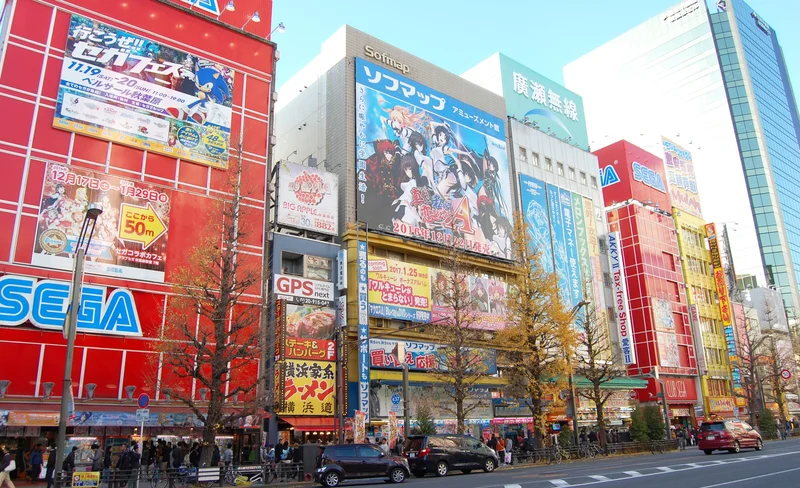 Manga Anime One Day Customized Private Car Tour in Tokyo