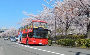Kyoto Hop-On Hop-off sightseeing bus by Skyhop Bus (1day / 2days ticket)