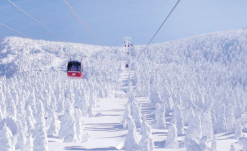 Yamagata Zao Cable Car & Ginzan Hot Spring One-Day Tour (Departing from Sendai)