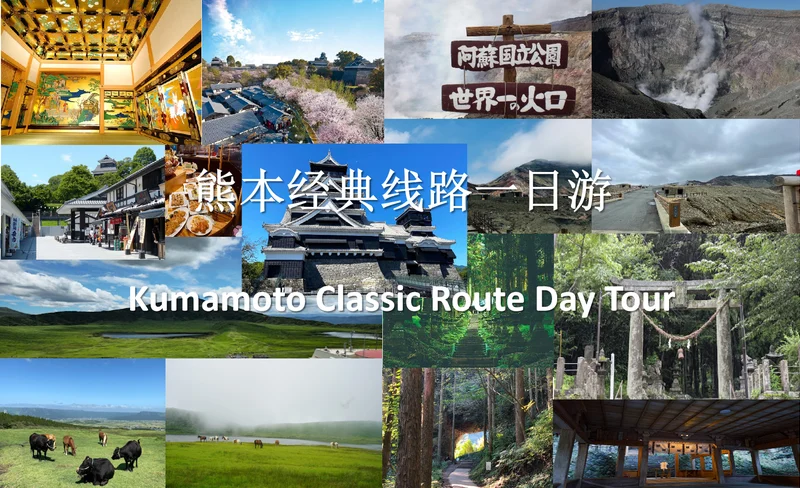 Kumamoto Castle & Josaien & Mt. Aso/Kusasenri & Kumanoza Shrine