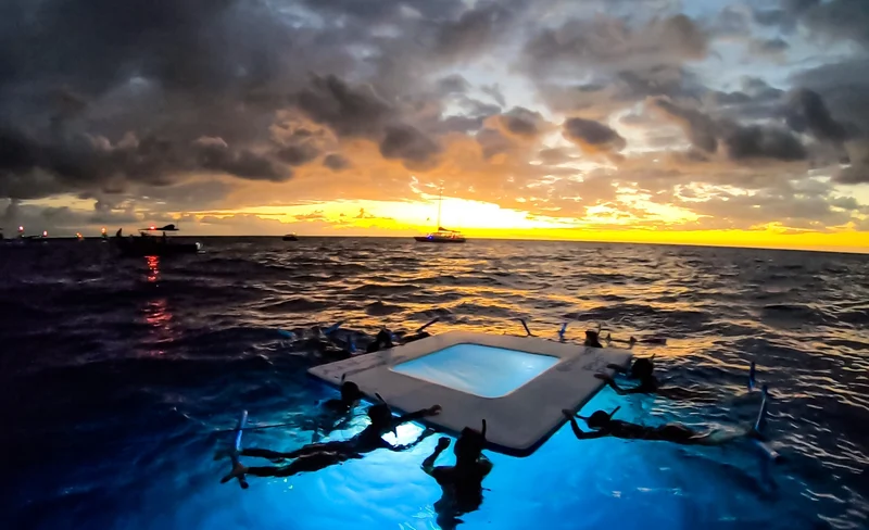 Kona Manta Ray Night Snorkel with Sunset Cruise Tour