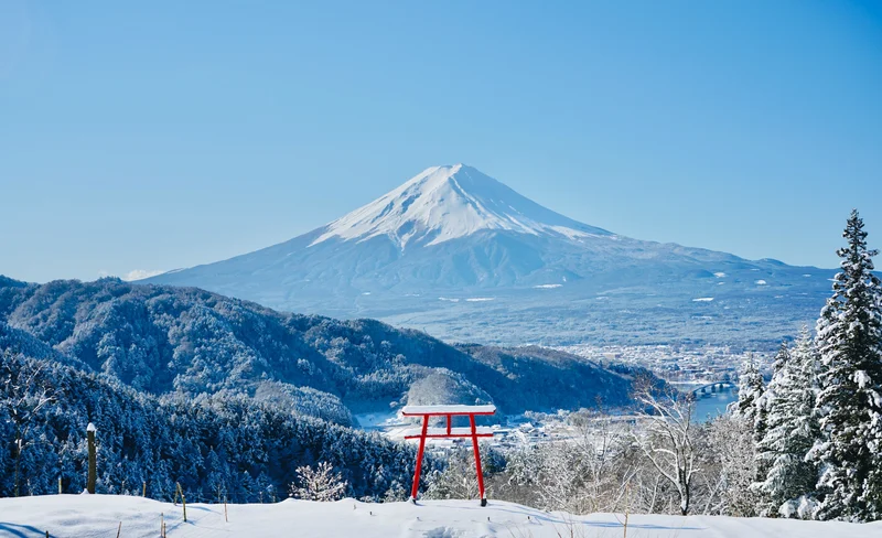 PICA Fujiyama/ Fuji Five Lakes Glamping & Rental Car Package in Kawaguchiko