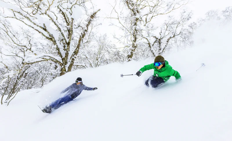 Rusutsu Resort ski resort 1-day lift ticket + round-trip bus ticket [Departing from/arriving at Sapporo]