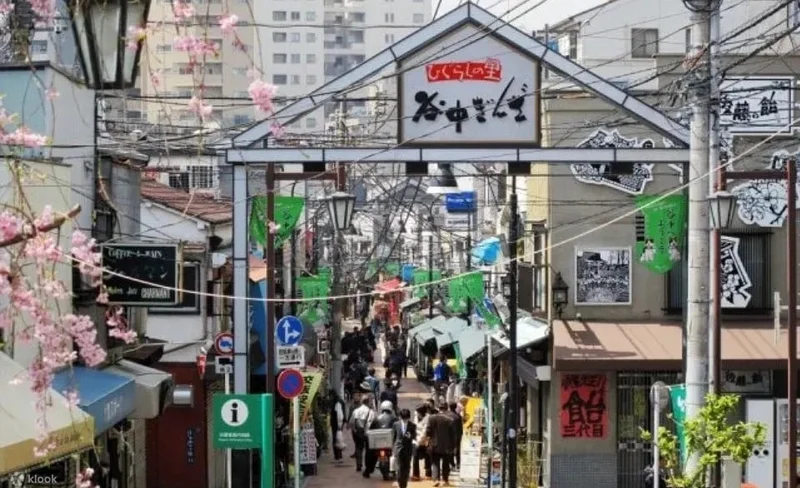 Ueno & Yanaka & Sendagi Heritage Private Walking Tour