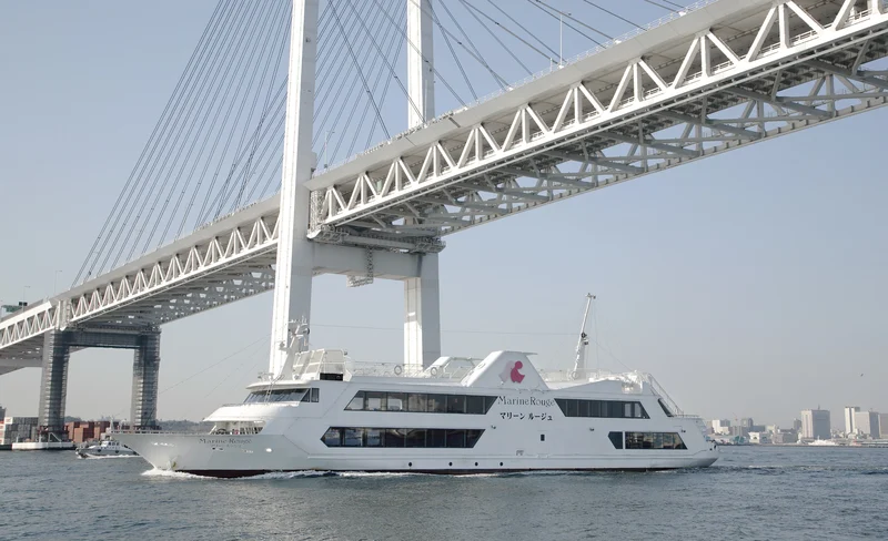 Yokohama Marine Rouge / Sea Bass Cruise Ticket (Kanagawa)