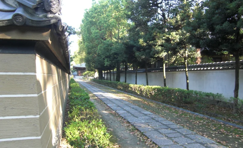 Hakata Alleyway Tour