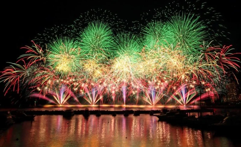 [Limited time] Shizuoka Izu｜Atami Fireworks Festival & Izu Panorama Park｜Depart from Tokyo