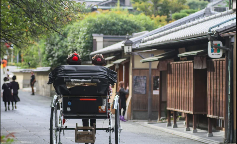 Kyoto One Day Highlight Bus Tour